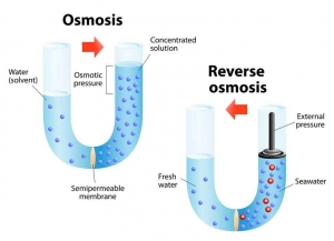 Reverse Osmosis RO Plants